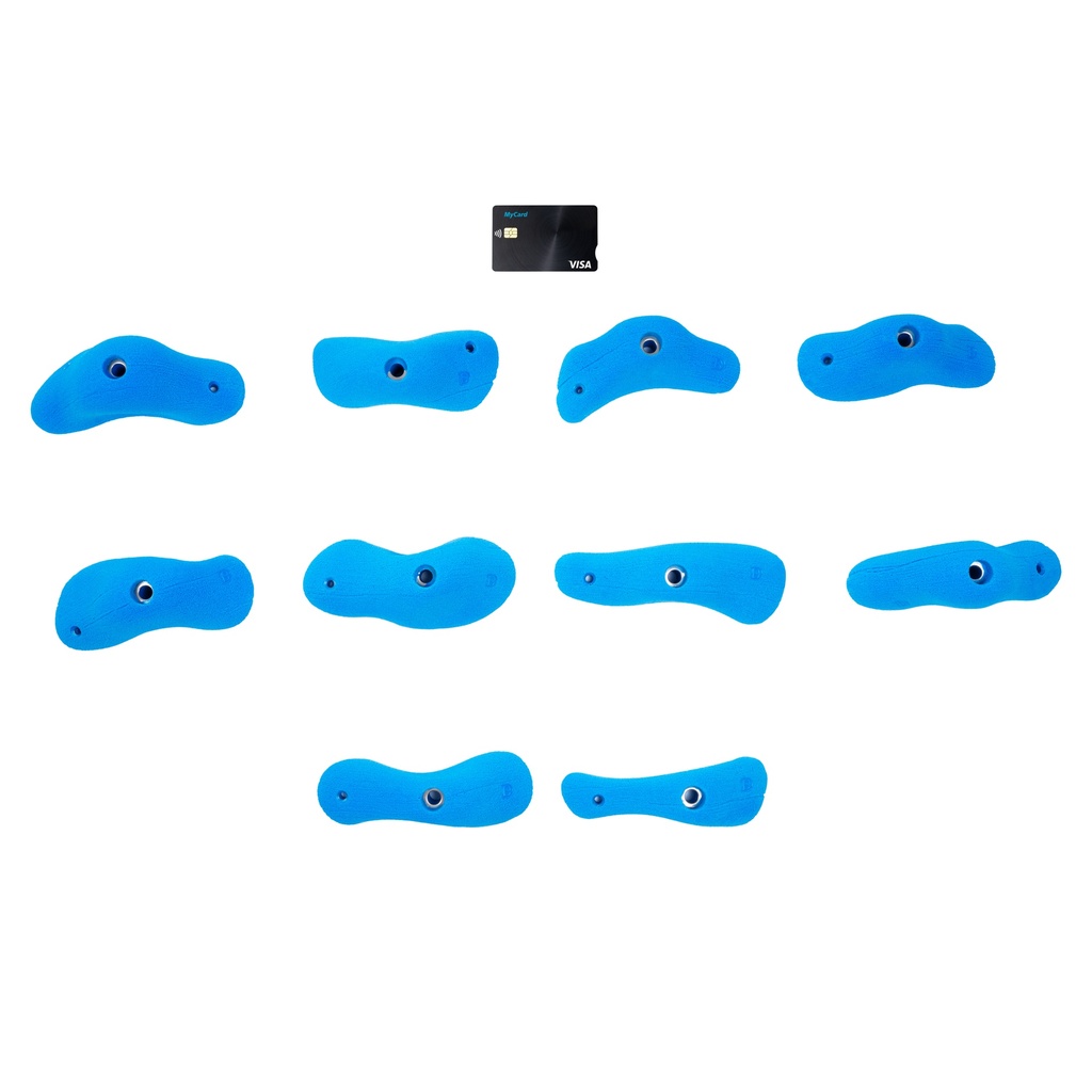 Carrot cake M (Random)