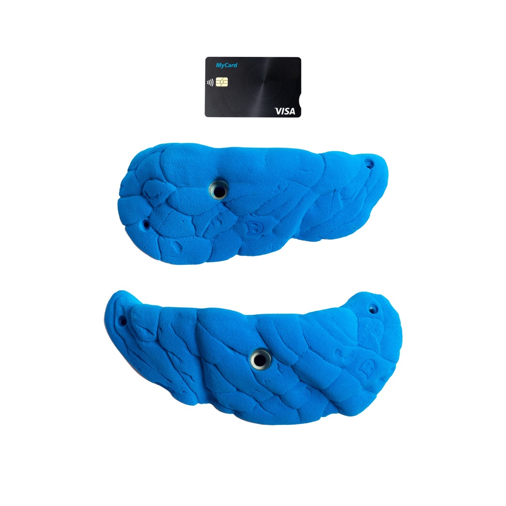 Crayfish (Random)