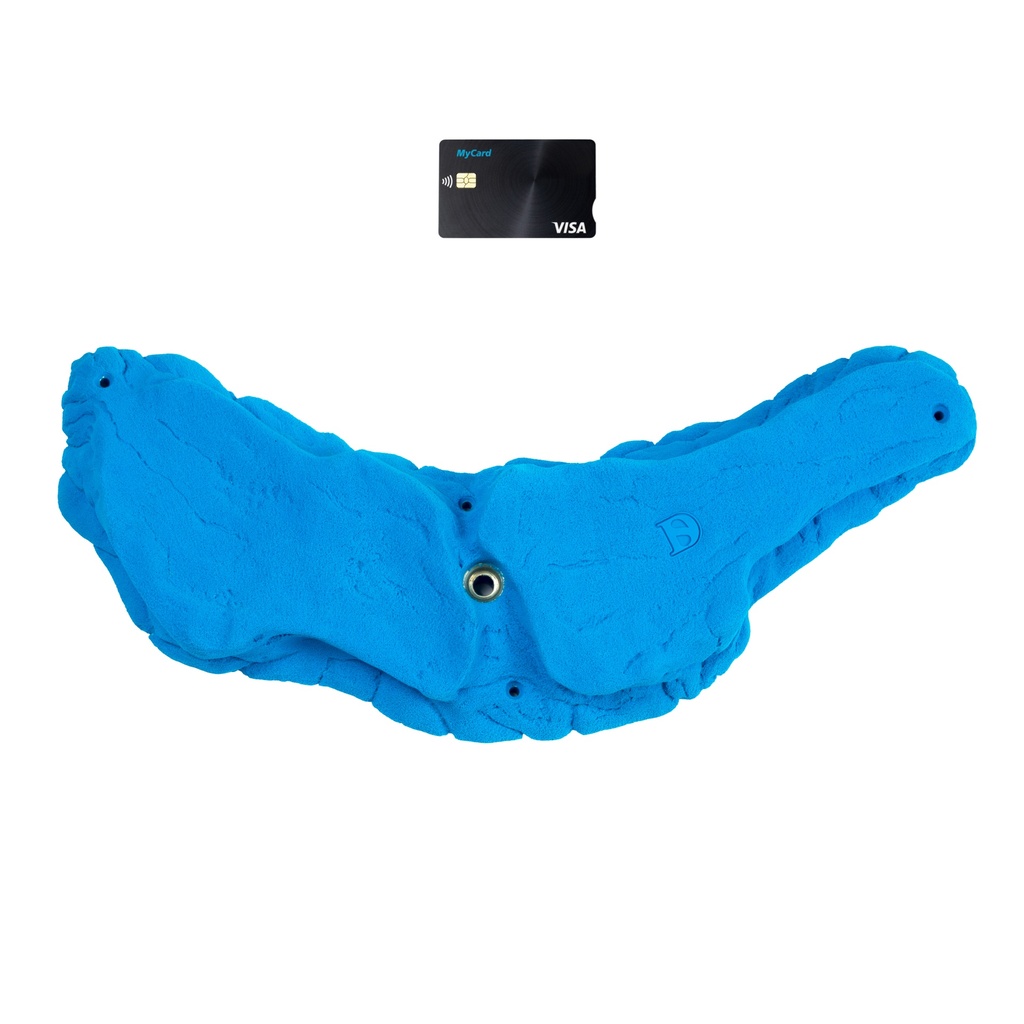 Earwings (Random)