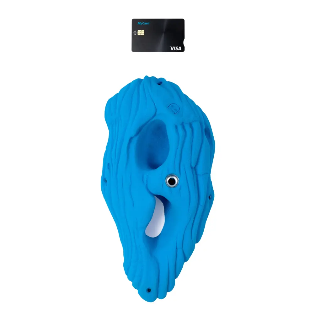 Elephant (Random)
