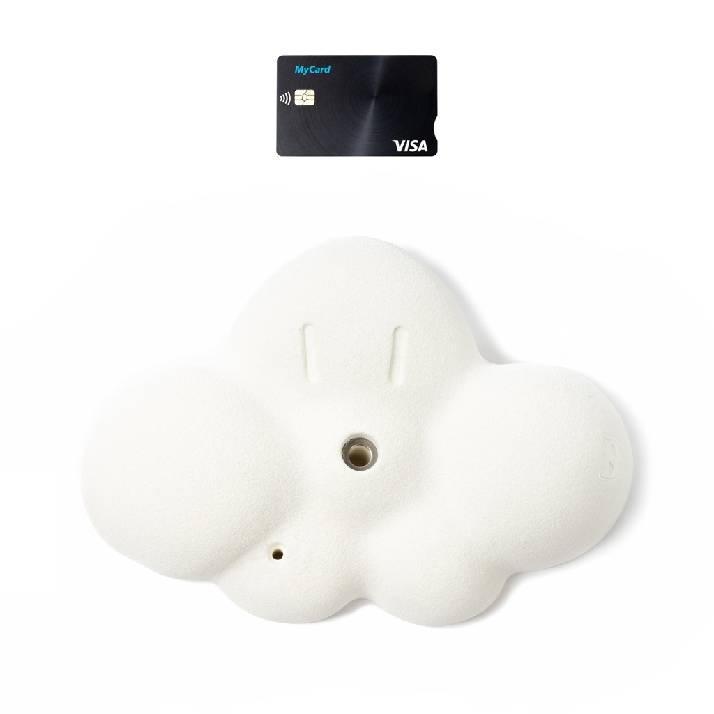 D-Cloud (Random)