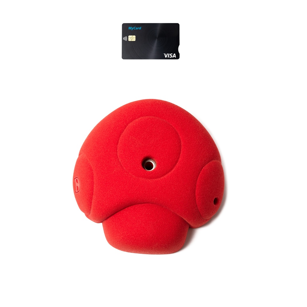 D-Mushroom (Random)