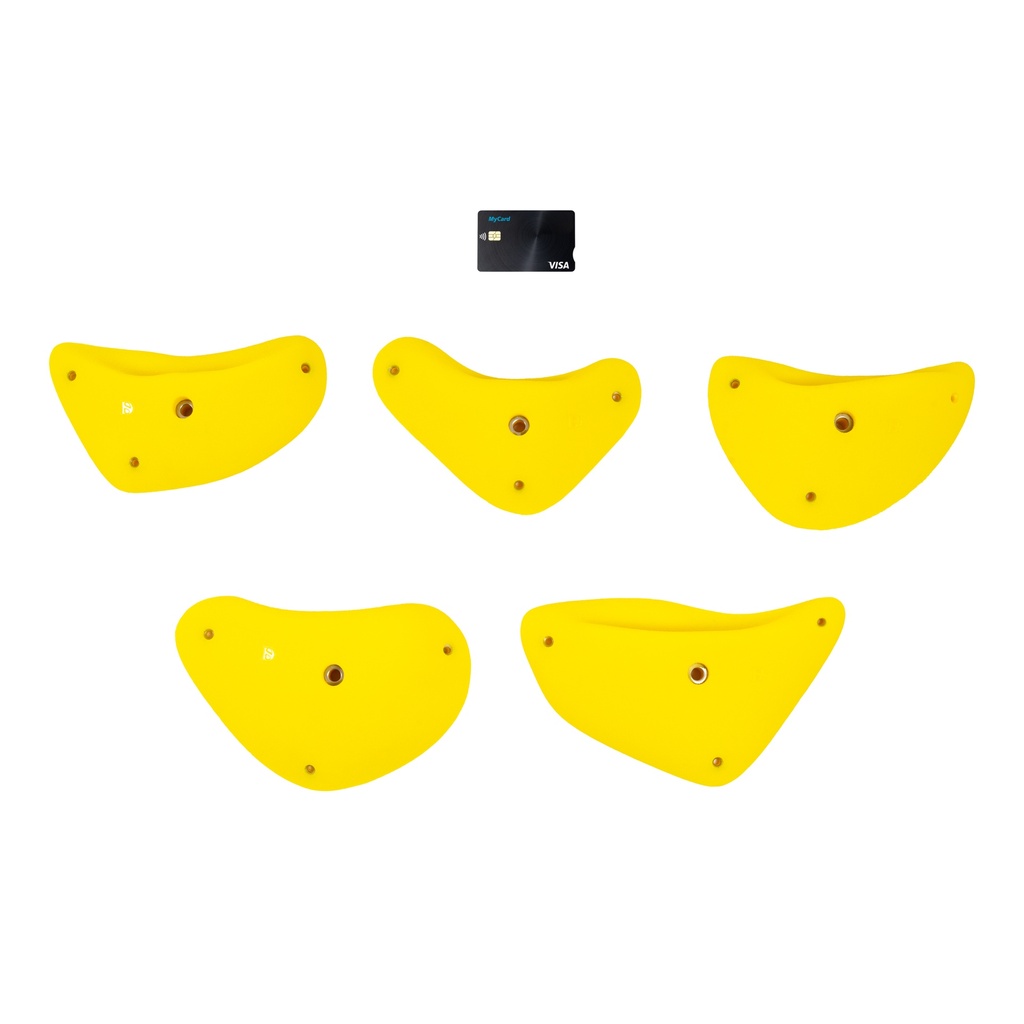 Tacos L1 (Random)