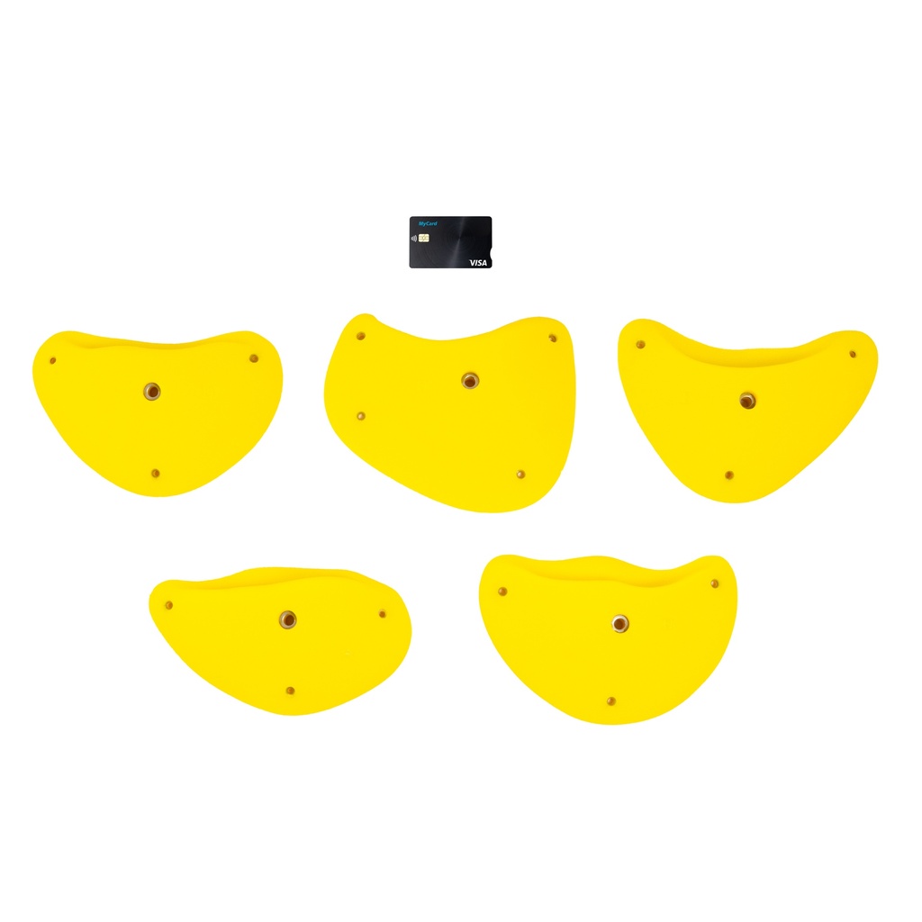 Tacos L2 (Random)